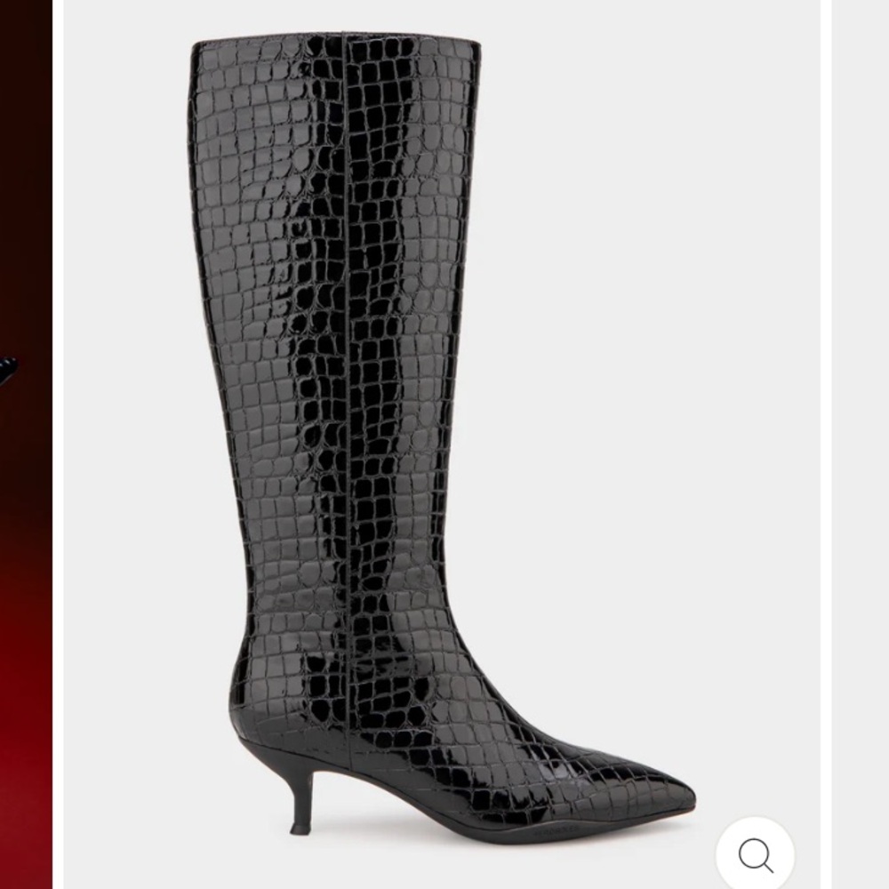 NWT Never worn Aerosole Loano Knee High Boot